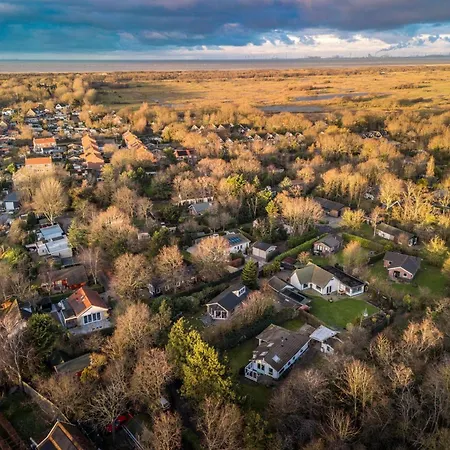 Bosje 1 - Not Intended For Company Or Work-related * 奥德多普