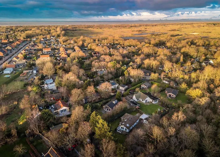 Bosje 1 - Not Intended For Company Or Work-related * 우도르프