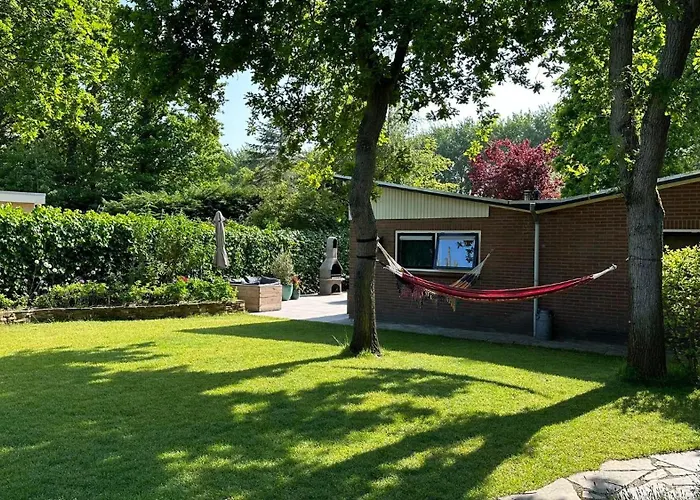 Holiday home Bosje 1 - Not Intended For Company Or Work-related Ouddorp